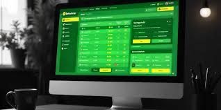 Explore BetWinner Sportsbook Your Ultimate Betting Destination