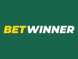 Understanding BetWinner Terms and Conditions Essential Guide for Users