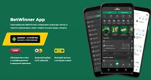 Experience the Thrill at BetWinner Casino A Comprehensive Guide