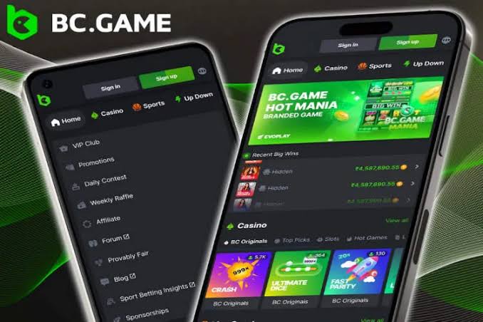 Exploring BC.Game India The Future of Online Gaming and Crypto Casinos Exploring BC.Game India The Future of Online Gaming and Crypto Casinos