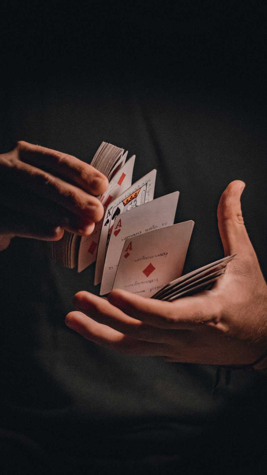 Bruce bet casino anmelden Bruce bet casino anmelden